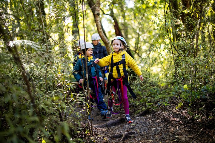 Experimente tirolesas e pontes suspensas emocionantes na floresta nativa antiga de Rotorua, foto 14 | wizardtrip