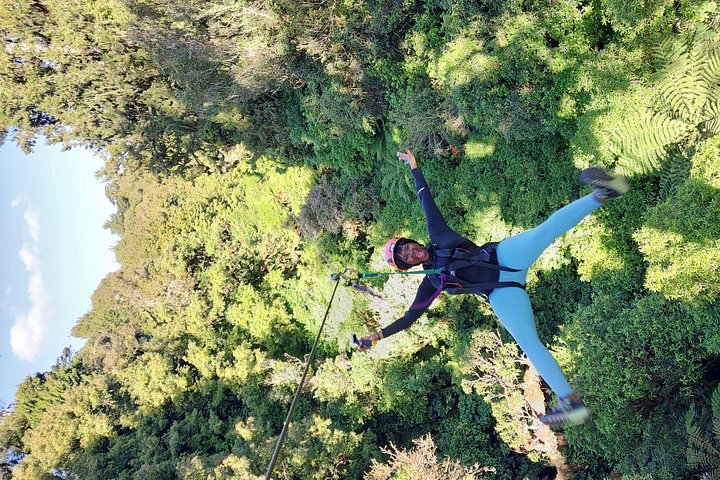 Experimente tirolesas e pontes suspensas emocionantes na floresta nativa antiga de Rotorua, foto 18 | wizardtrip