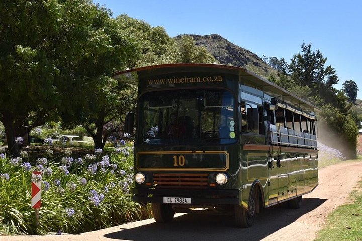 Vista panorâmica de vinhas e do trânsito de vinho em Franschhoek Valley, África do Sul, foto 7 | wizardtrip