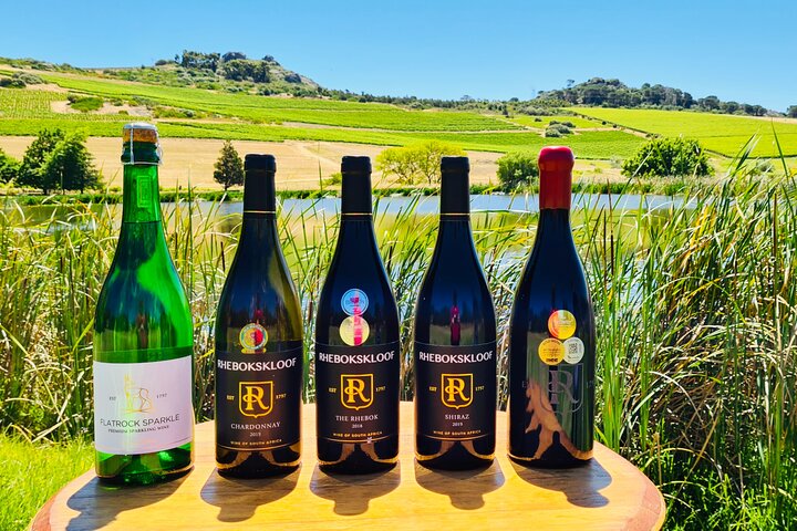 Paisagens cénicas de vinhedos e experiências de degustação de vinhos nas Regiões Vinícolas do Cabo, África do Sul, foto 7 | wizardtrip