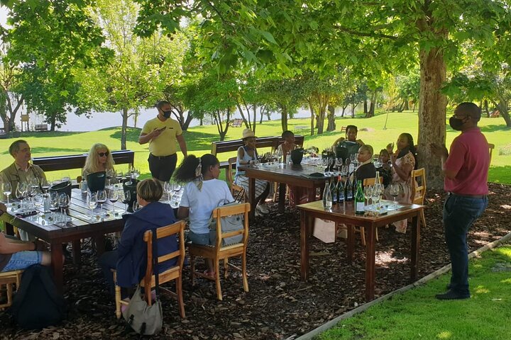 Paisagens cénicas de vinhedos e experiências de degustação de vinhos nas Regiões Vinícolas do Cabo, África do Sul, foto 9 | wizardtrip