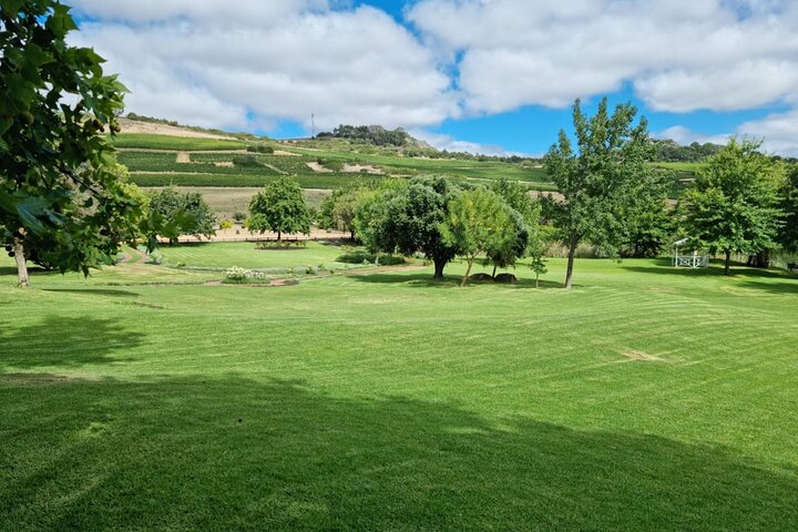 Paisagens cénicas de vinhedos e experiências de degustação de vinhos nas Regiões Vinícolas do Cabo, África do Sul, foto 12 | wizardtrip