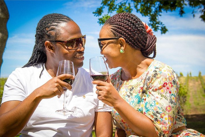 Paisagens cénicas de vinhedos e experiências de degustação de vinhos nas Regiões Vinícolas do Cabo, África do Sul, foto 17 | wizardtrip