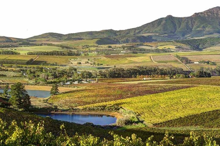 Paisagens cénicas de vinhedos e experiências de degustação de vinhos nas Regiões Vinícolas do Cabo, África do Sul, foto 20 | wizardtrip