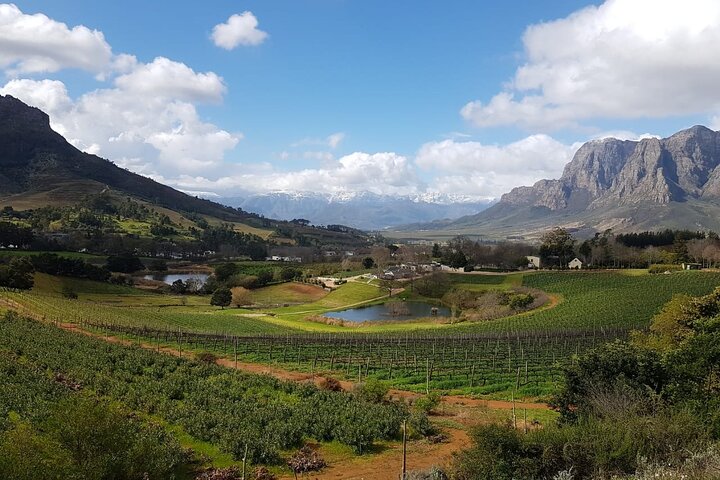Paisagens cénicas de vinhedos e experiências de degustação de vinhos nas Regiões Vinícolas do Cabo, África do Sul, foto 21 | wizardtrip