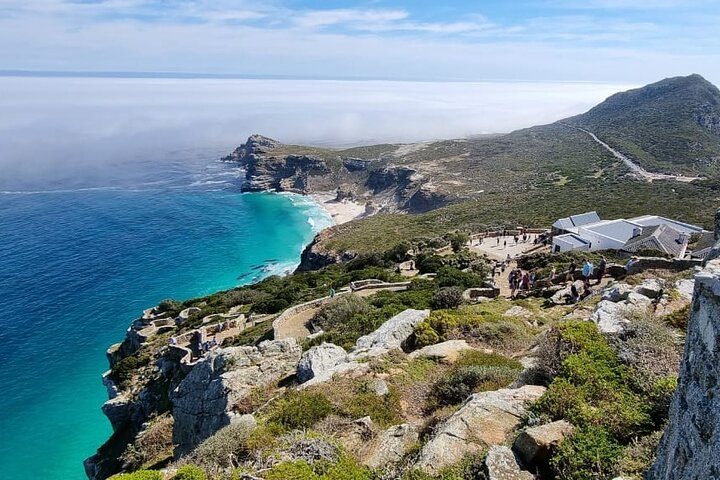 Passeio de dia inteiro explorando Cape Point, pinguins de Boulders Beach e percursos costeiros cénicos em torno da Cidade do Cabo, foto 13 | wizardtrip