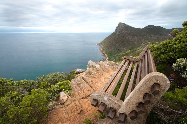 Passeio de dia inteiro explorando Cape Point, pinguins de Boulders Beach e percursos costeiros cénicos em torno da Cidade do Cabo, foto 15 | wizardtrip