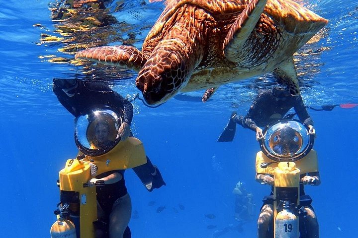 Avventura con scooter sottomarino a Oahu, Hawaii, con vita marina, foto 6 | wizardtrip