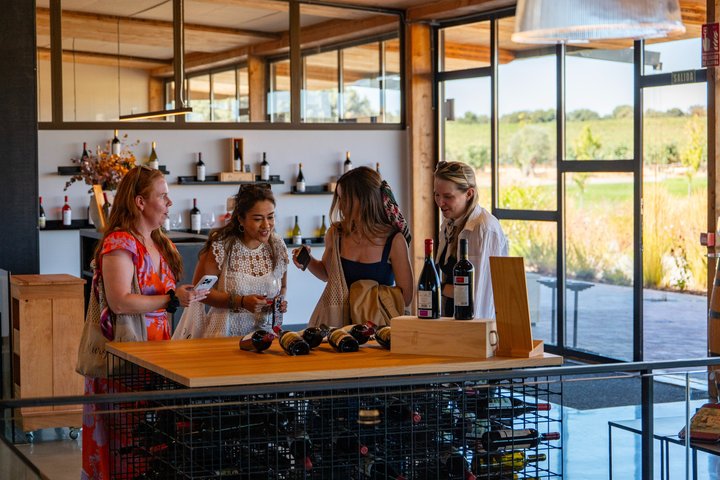 Ribera del Duero Wineries Rondleiding & Wijnproeverij vanuit Madrid | wizardtrip