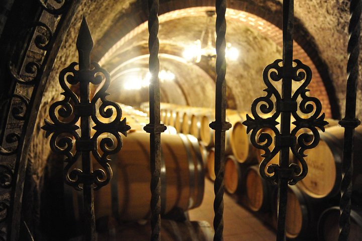 Full-day wine tour from Madrid to Ribera del Duero, visiting wineries and tasting wines, photo 6 | wizardtrip