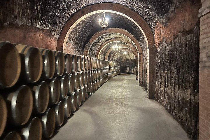 Full-day wine tour from Madrid to Ribera del Duero, visiting wineries and tasting wines, photo 8 | wizardtrip