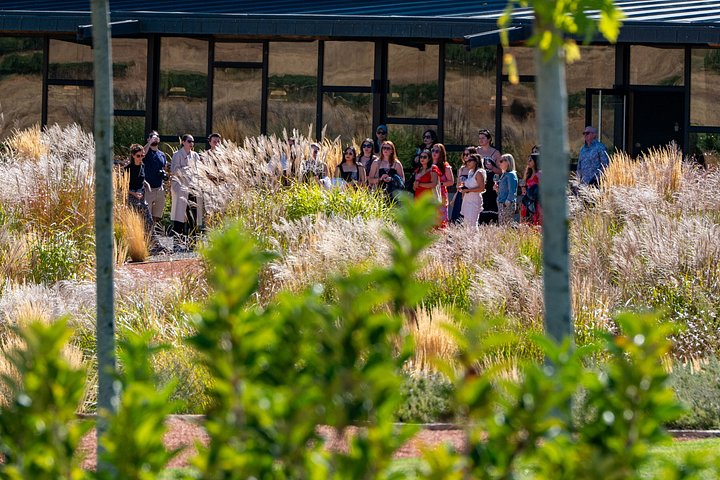 Full-day wine tour from Madrid to Ribera del Duero, visiting wineries and tasting wines, photo 9 | wizardtrip
