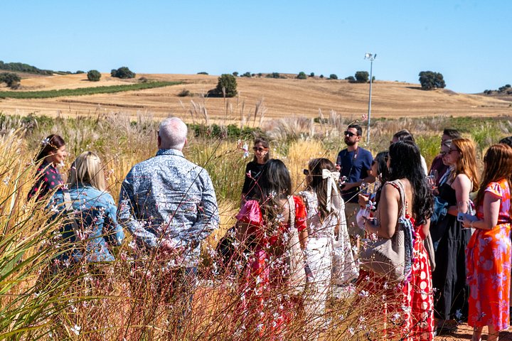 Full-day wine tour from Madrid to Ribera del Duero, visiting wineries and tasting wines, photo 13 | wizardtrip