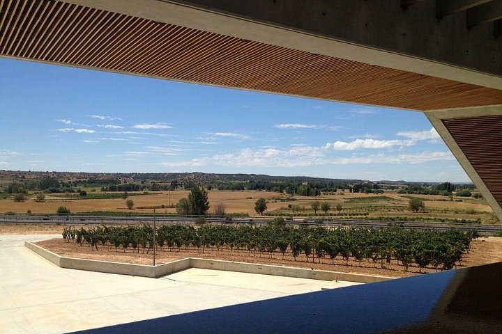 Full-day wine tour from Madrid to Ribera del Duero, visiting wineries and tasting wines, photo 14 | wizardtrip