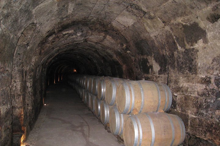 Full-day wine tour from Madrid to Ribera del Duero, visiting wineries and tasting wines, photo 15 | wizardtrip