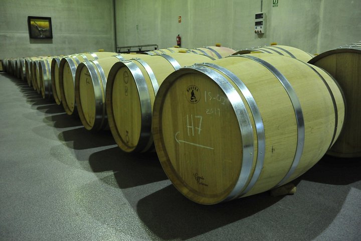 Full-day wine tour from Madrid to Ribera del Duero, visiting wineries and tasting wines, photo 16 | wizardtrip