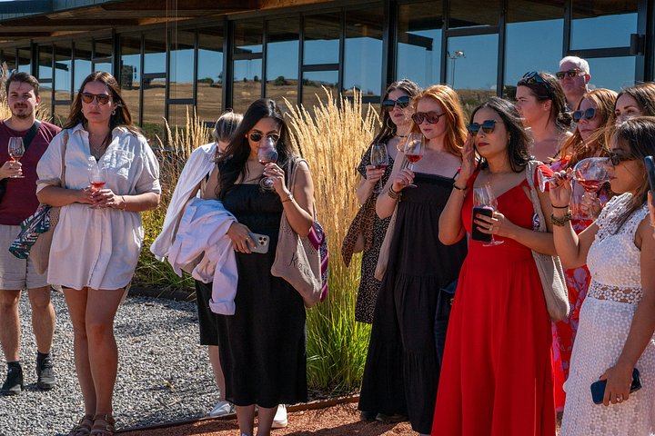 Full-day wine tour from Madrid to Ribera del Duero, visiting wineries and tasting wines, photo 17 | wizardtrip