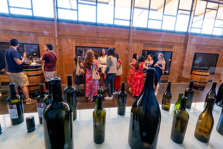 Full-day wine tour from Madrid to Ribera del Duero, visiting wineries and tasting wines, photo 19 | wizardtrip