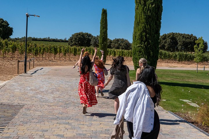 Full-day wine tour from Madrid to Ribera del Duero, visiting wineries and tasting wines, photo 20 | wizardtrip