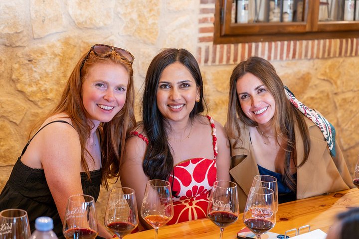 Full-day wine tour from Madrid to Ribera del Duero, visiting wineries and tasting wines, photo 25 | wizardtrip