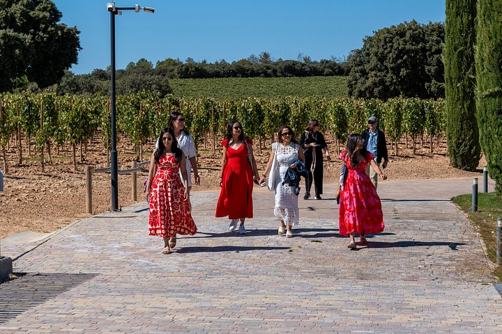 Full-day wine tour from Madrid to Ribera del Duero, visiting wineries and tasting wines, photo 26 | wizardtrip