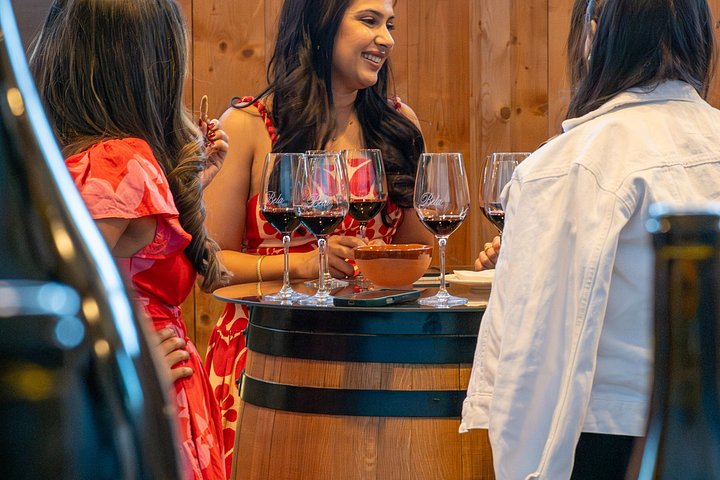 Full-day wine tour from Madrid to Ribera del Duero, visiting wineries and tasting wines, photo 28 | wizardtrip