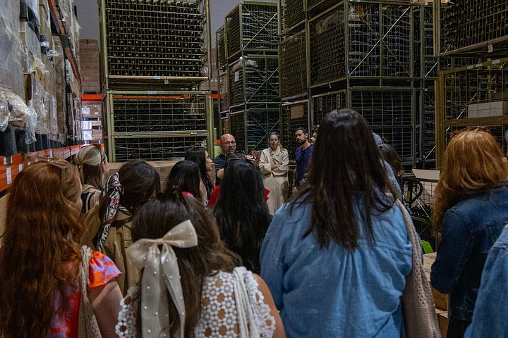 Full-day wine tour from Madrid to Ribera del Duero, visiting wineries and tasting wines, photo 33 | wizardtrip