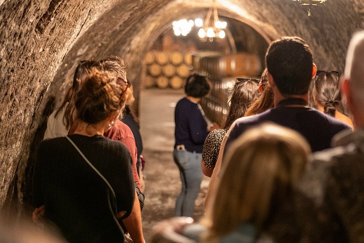 Full-day wine tour from Madrid to Ribera del Duero, visiting wineries and tasting wines, photo 35 | wizardtrip