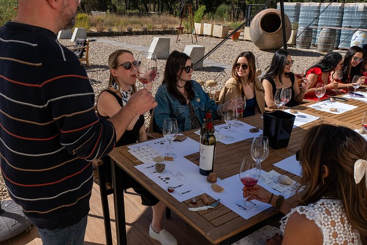 Full-day wine tour from Madrid to Ribera del Duero, visiting wineries and tasting wines, photo 42 | wizardtrip