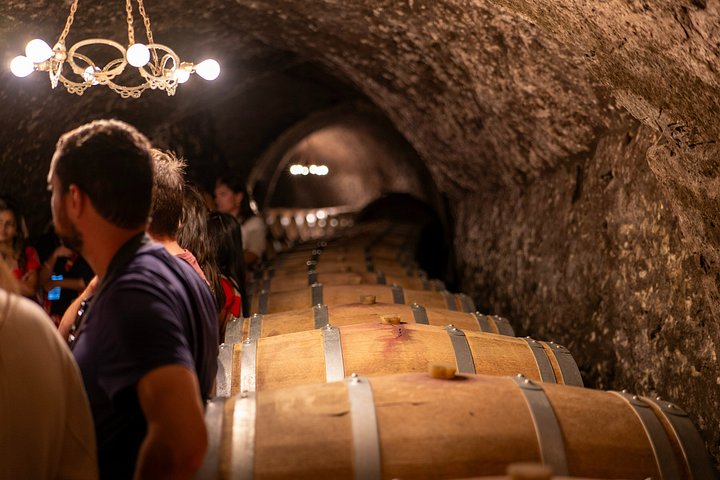 Full-day wine tour from Madrid to Ribera del Duero, visiting wineries and tasting wines, photo 43 | wizardtrip