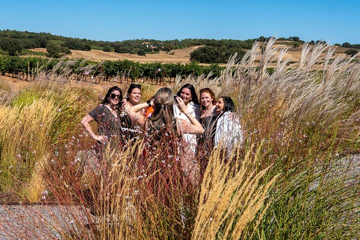 Full-day wine tour from Madrid to Ribera del Duero, visiting wineries and tasting wines, photo 45 | wizardtrip