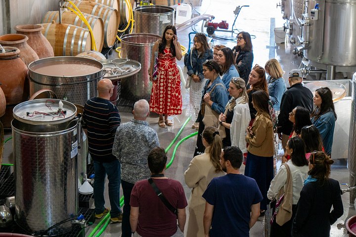 Full-day wine tour from Madrid to Ribera del Duero, visiting wineries and tasting wines, photo 46 | wizardtrip