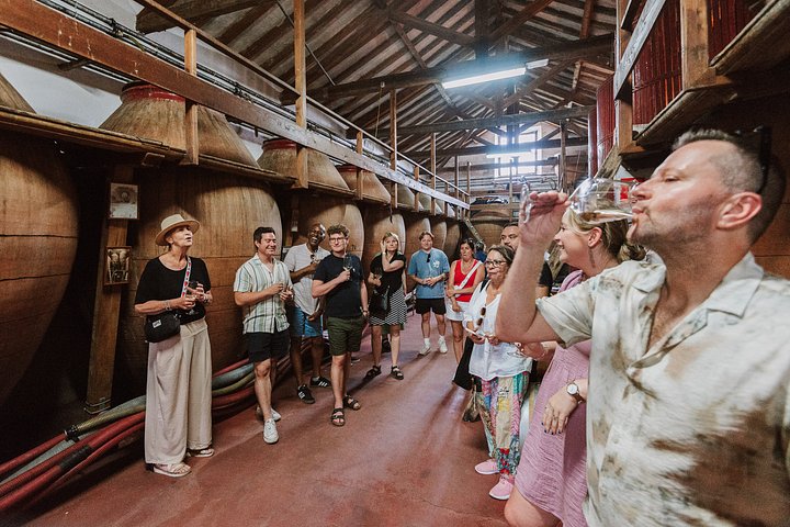Explore a região vinícola de Madrid com visitas guiadas a quintas locais, provas de vinho e comida regional, foto 8 | wizardtrip