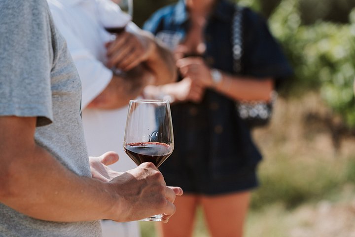 Explore a região vinícola de Madrid com visitas guiadas a quintas locais, provas de vinho e comida regional, foto 10 | wizardtrip