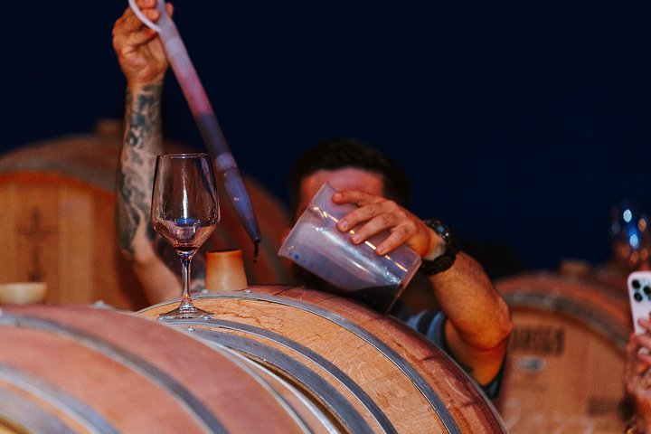 Explore a região vinícola de Madrid com visitas guiadas a quintas locais, provas de vinho e comida regional, foto 11 | wizardtrip