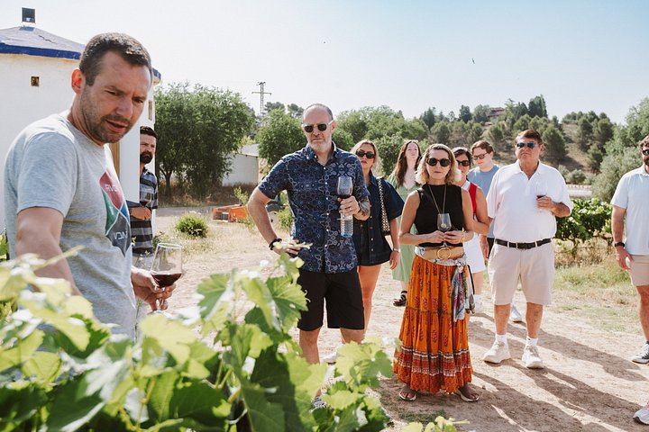 Explore a região vinícola de Madrid com visitas guiadas a quintas locais, provas de vinho e comida regional, foto 12 | wizardtrip