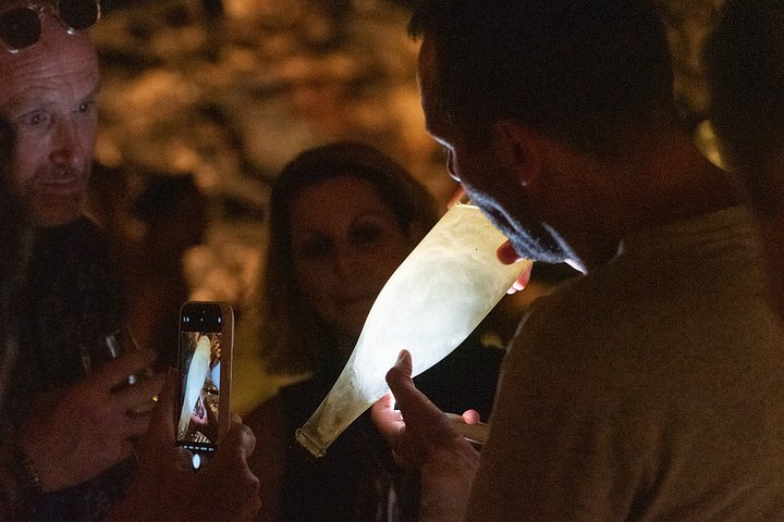 Explore a região vinícola de Madrid com visitas guiadas a quintas locais, provas de vinho e comida regional, foto 14 | wizardtrip
