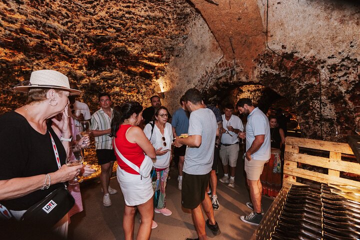 Explore a região vinícola de Madrid com visitas guiadas a quintas locais, provas de vinho e comida regional, foto 15 | wizardtrip