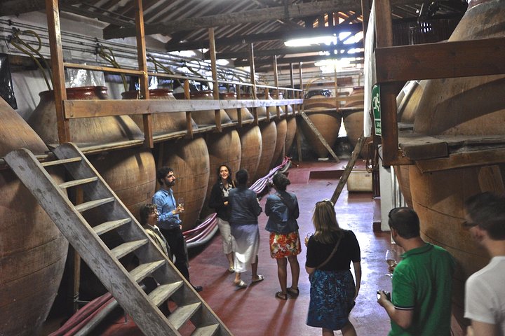 Explore a região vinícola de Madrid com visitas guiadas a quintas locais, provas de vinho e comida regional, foto 16 | wizardtrip