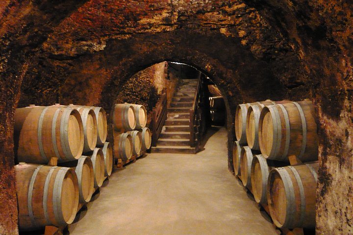 Explore a região vinícola de Madrid com visitas guiadas a quintas locais, provas de vinho e comida regional, foto 19 | wizardtrip
