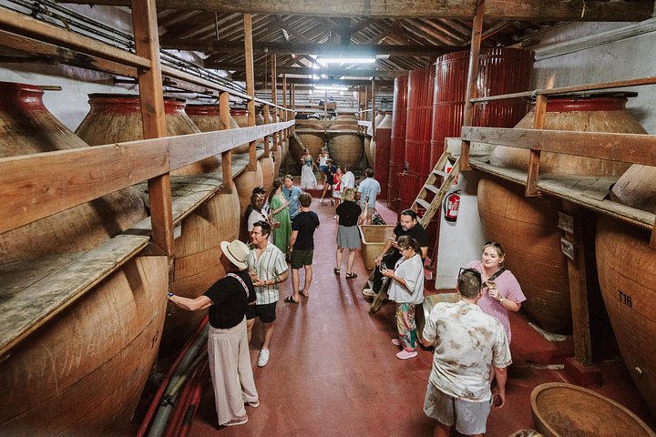Explore a região vinícola de Madrid com visitas guiadas a quintas locais, provas de vinho e comida regional, foto 21 | wizardtrip