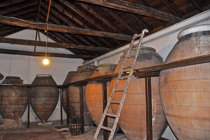 Explore a região vinícola de Madrid com visitas guiadas a quintas locais, provas de vinho e comida regional, foto 22 | wizardtrip