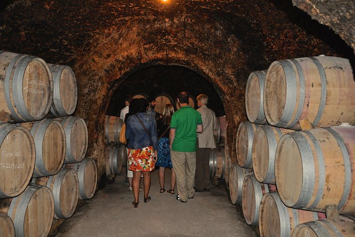 Explore a região vinícola de Madrid com visitas guiadas a quintas locais, provas de vinho e comida regional, foto 24 | wizardtrip