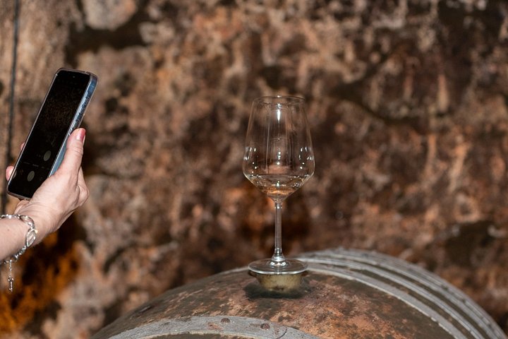 Explore a região vinícola de Madrid com visitas guiadas a quintas locais, provas de vinho e comida regional, foto 29 | wizardtrip