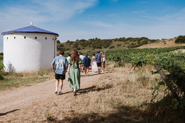 Explore a região vinícola de Madrid com visitas guiadas a quintas locais, provas de vinho e comida regional, foto 31 | wizardtrip