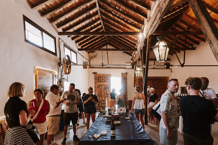 Explore a região vinícola de Madrid com visitas guiadas a quintas locais, provas de vinho e comida regional, foto 34 | wizardtrip