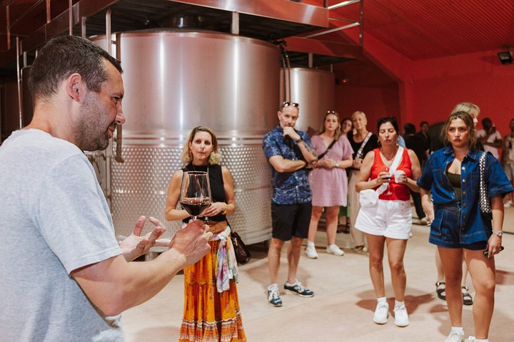 Explore a região vinícola de Madrid com visitas guiadas a quintas locais, provas de vinho e comida regional, foto 36 | wizardtrip