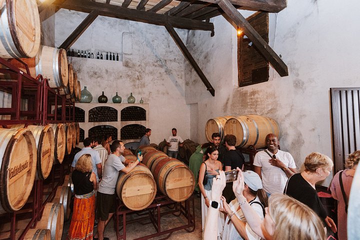 Explore a região vinícola de Madrid com visitas guiadas a quintas locais, provas de vinho e comida regional, foto 39 | wizardtrip