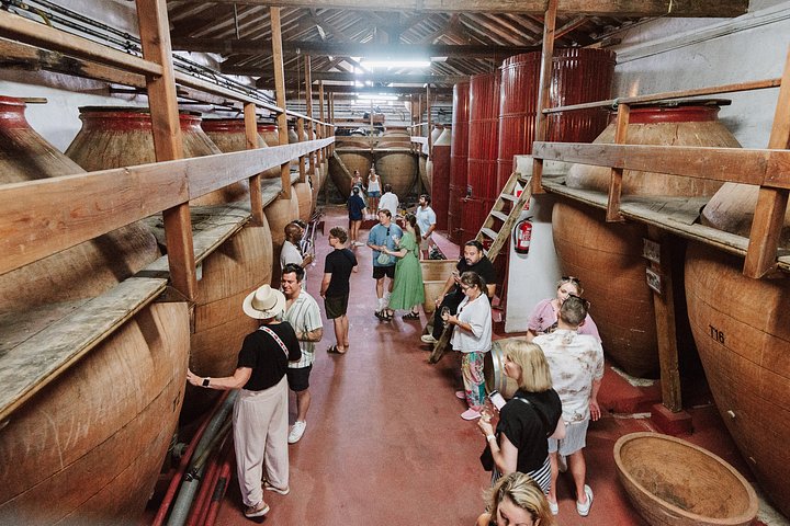Explore a região vinícola de Madrid com visitas guiadas a quintas locais, provas de vinho e comida regional, foto 42 | wizardtrip