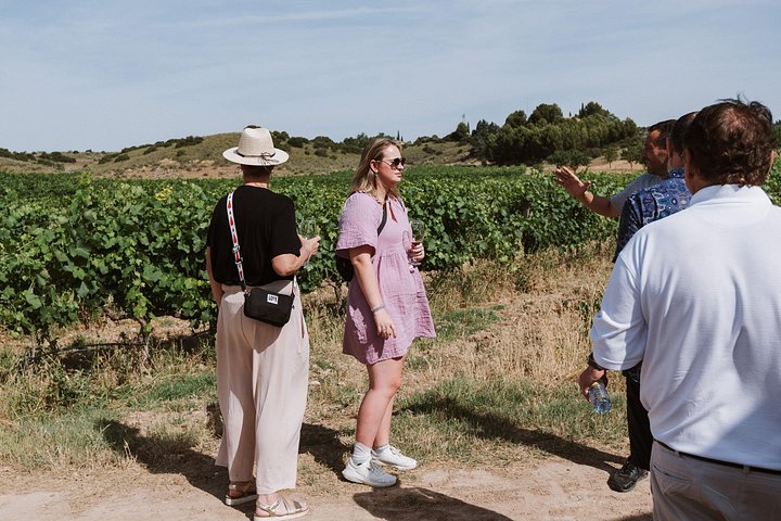 Explore a região vinícola de Madrid com visitas guiadas a quintas locais, provas de vinho e comida regional, foto 44 | wizardtrip
